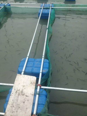 mmexport1466345612769